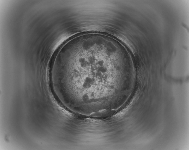 X0000096940983200802081202