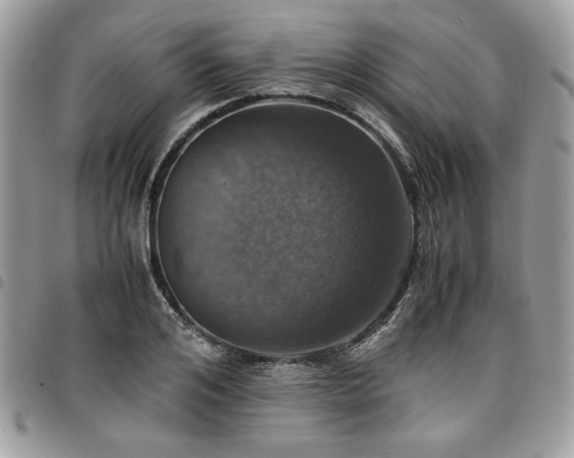 X0000096940984200802081202