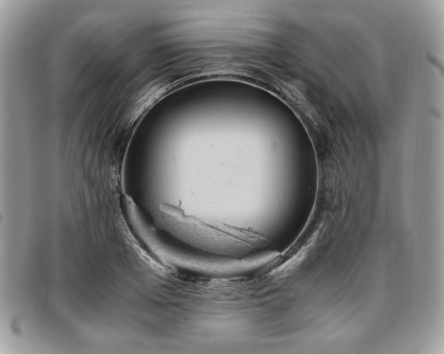 X0000096940985200802081202