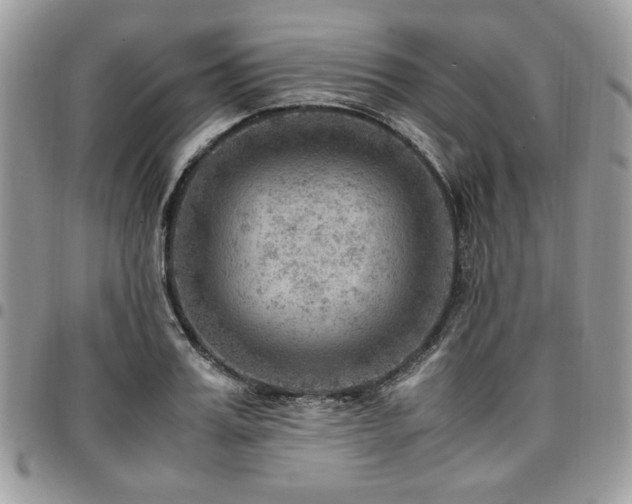 X0000096940987200802081202