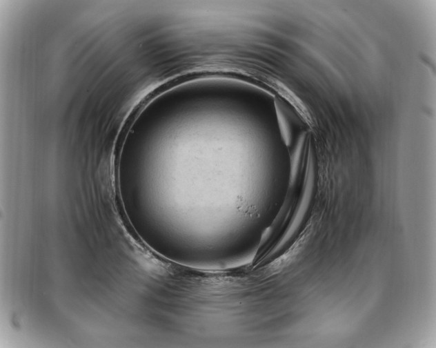 X0000096940988200802081202