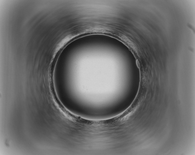 X0000096940989200802081202