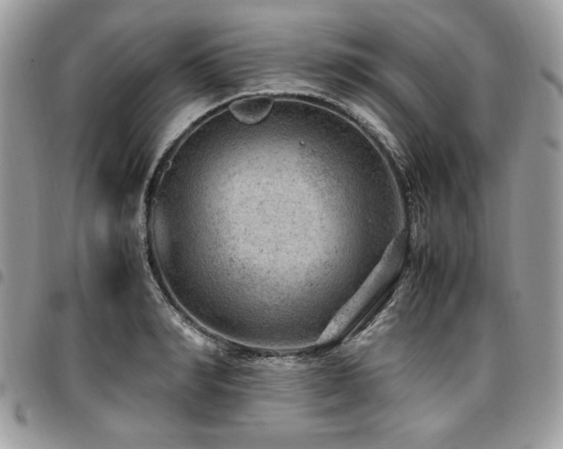 X0000096940990200802081202