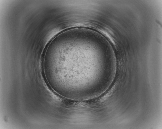 X0000096940991200802081202