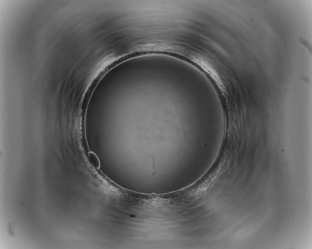X0000096940992200802081202
