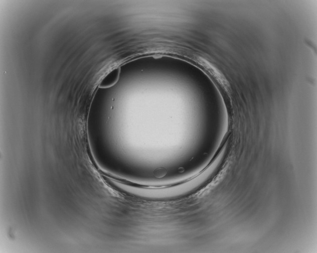 X0000096940993200802081202