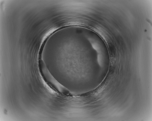 X0000096940995200802081202