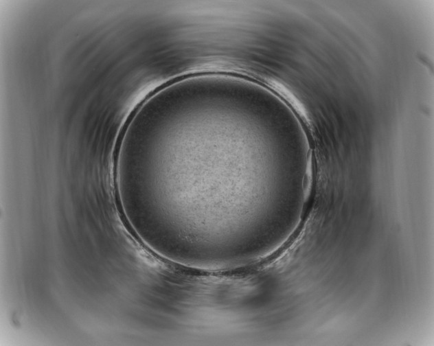 X0000096940996200802081202