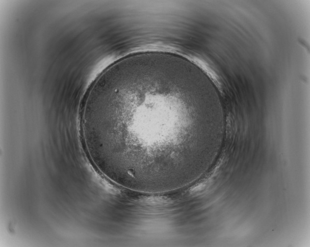 X0000096940998200802081202
