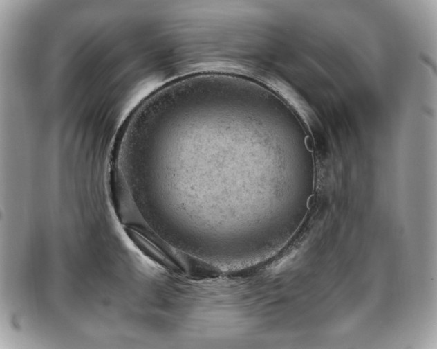 X0000096940999200802081202