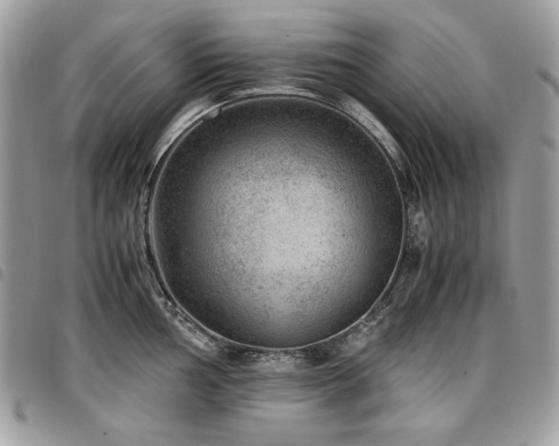 X0000096941002200802081202
