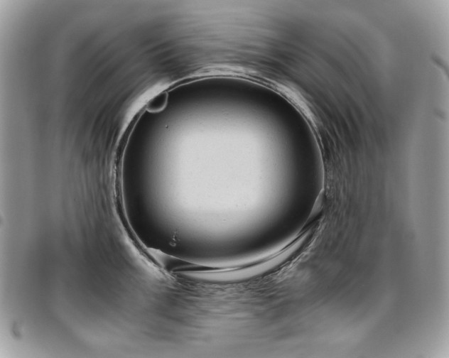 X0000096941003200802081201