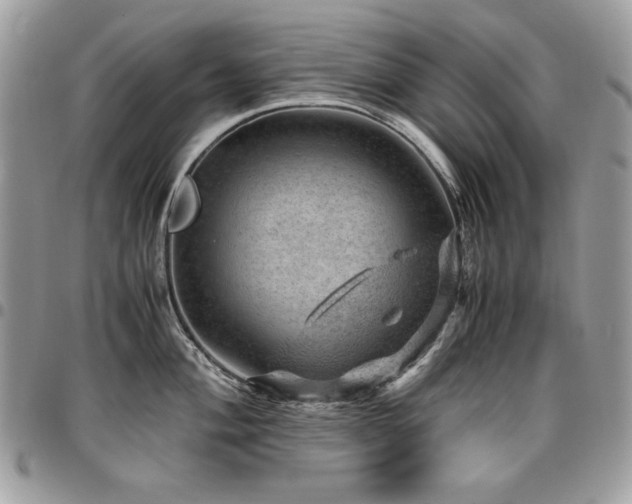 X0000096941004200802081201