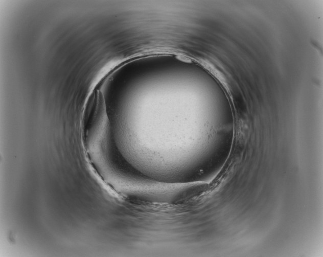 X0000096941005200802081201