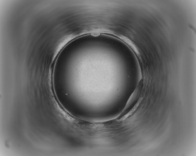 X0000096941006200802081201