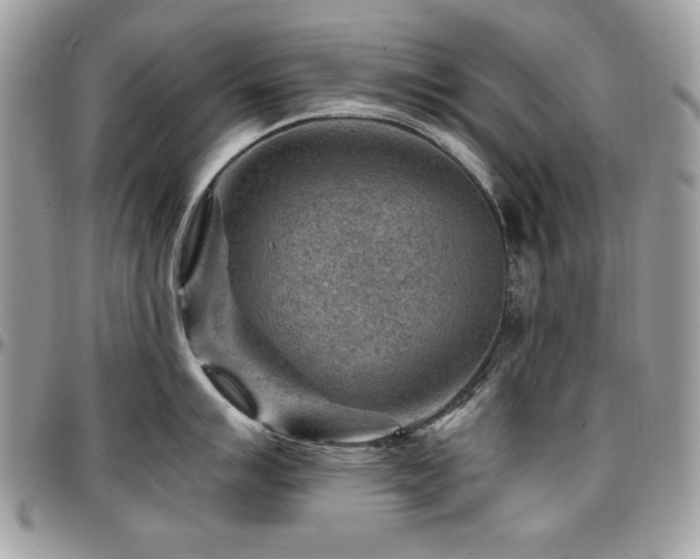 X0000096941007200802081201