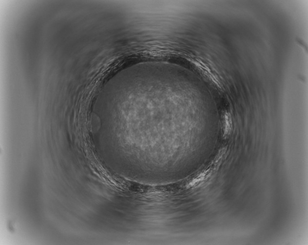 X0000096941009200802081201