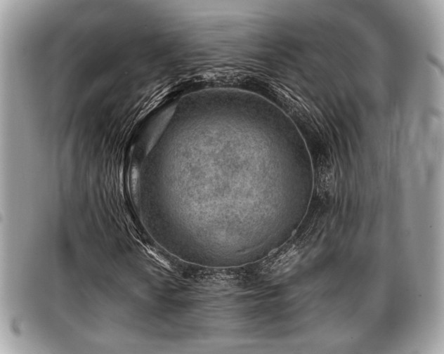 X0000096941010200802081201