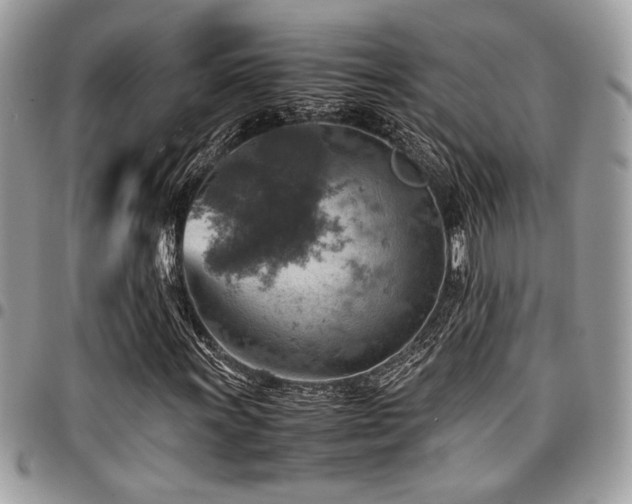 X0000096941011200802081201
