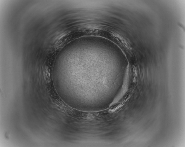 X0000096941013200802081201