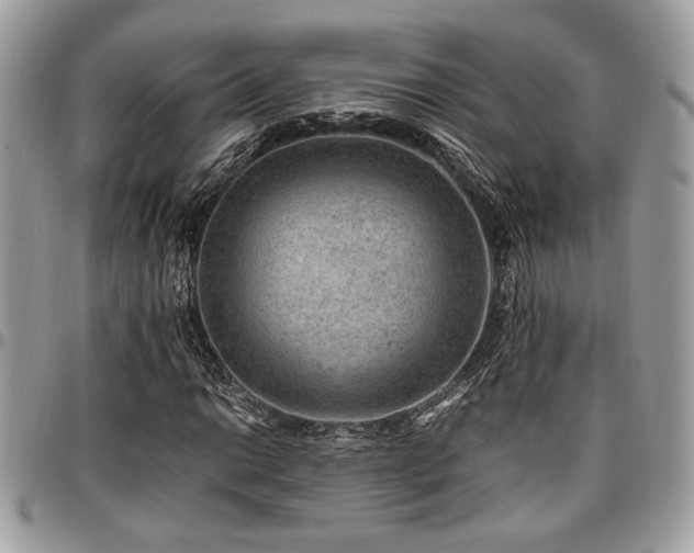 X0000096941014200802081201