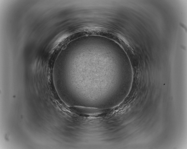 X0000096941016200802081201