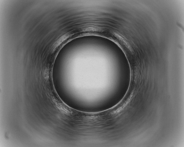 X0000096941017200802081201
