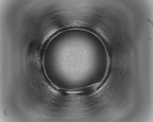 X0000096941018200802081201