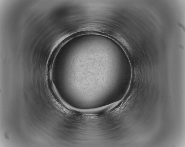 X0000096941020200802081201