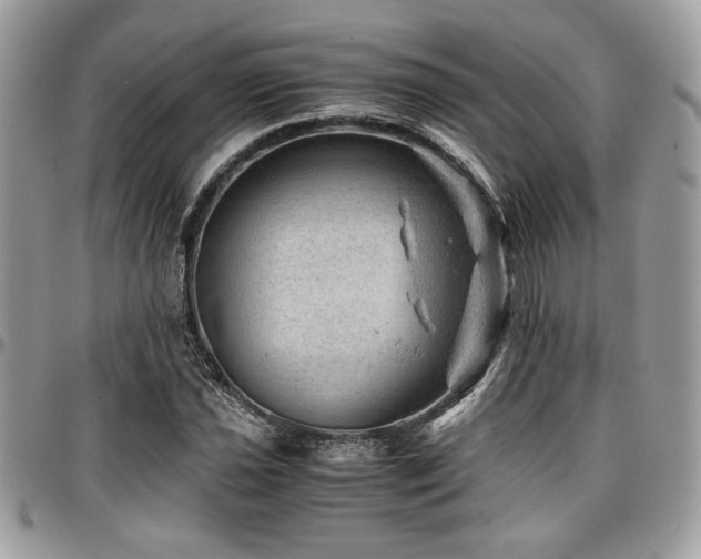 X0000096941021200802081201