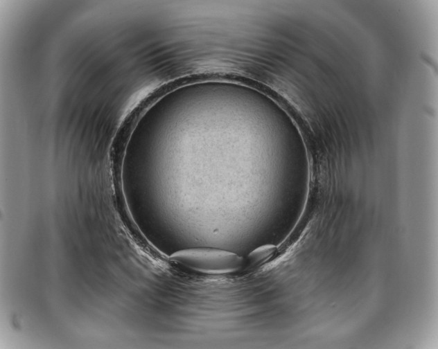 X0000096941022200802081201