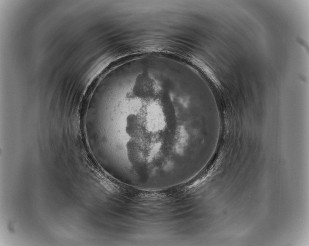 X0000096941023200802081201
