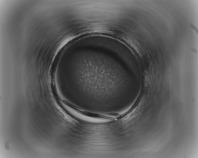 X0000096941024200802081201