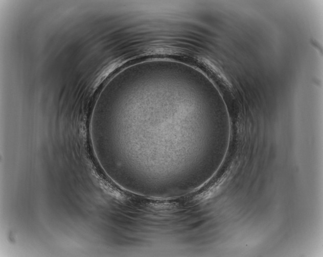 X0000096941025200802081201