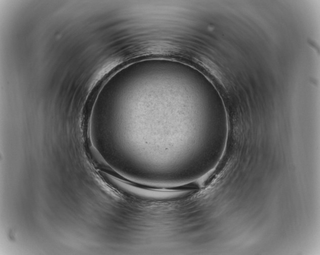 X0000096941026200802081201