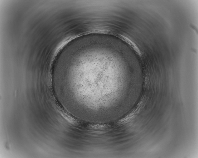 X0000096941027200802081201