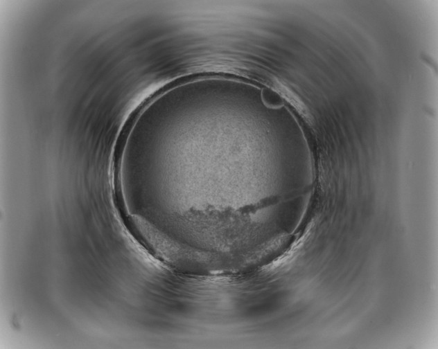 X0000096941028200802081201