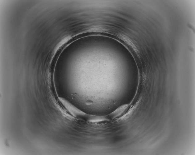 X0000096941029200802081201