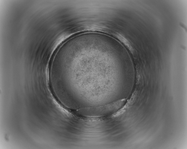 X0000096941032200802081201