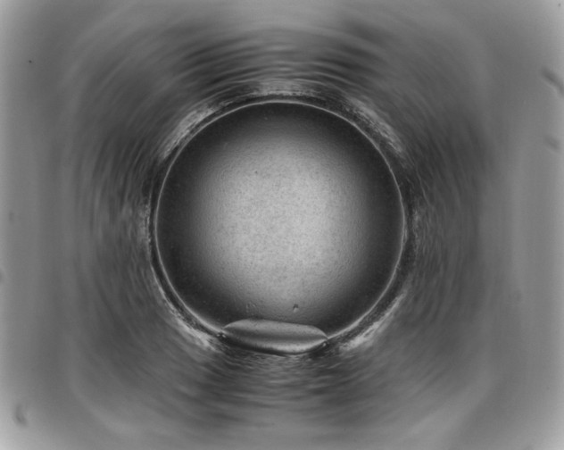 X0000096941033200802081201