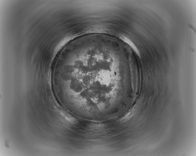 X0000096941035200802081201