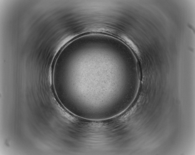 X0000096941036200802081201