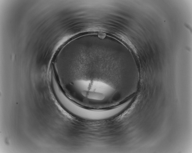 X0000096941037200802081201