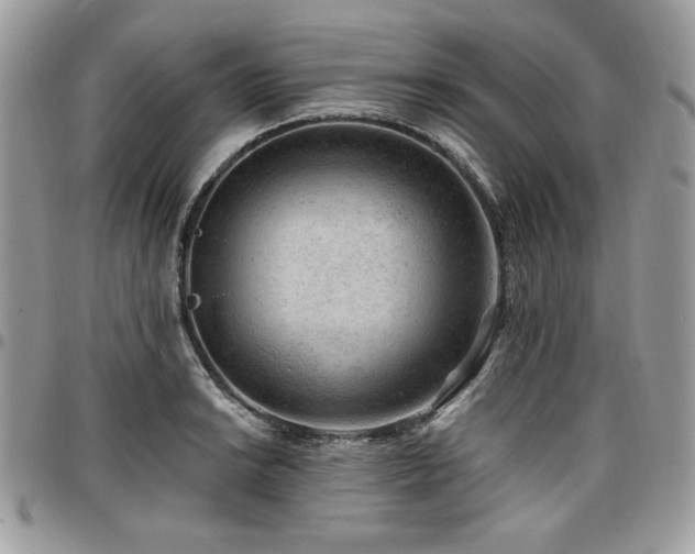 X0000096941038200802081201