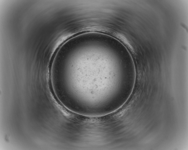 X0000096941040200802081201