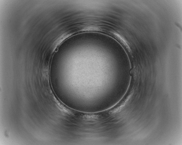 X0000096941041200802081201