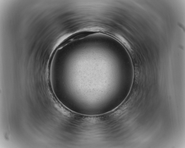 X0000096941044200802081201