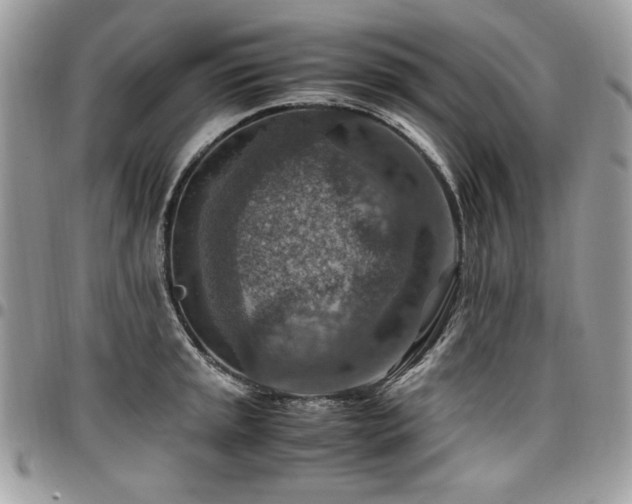 X0000096941045200802081201