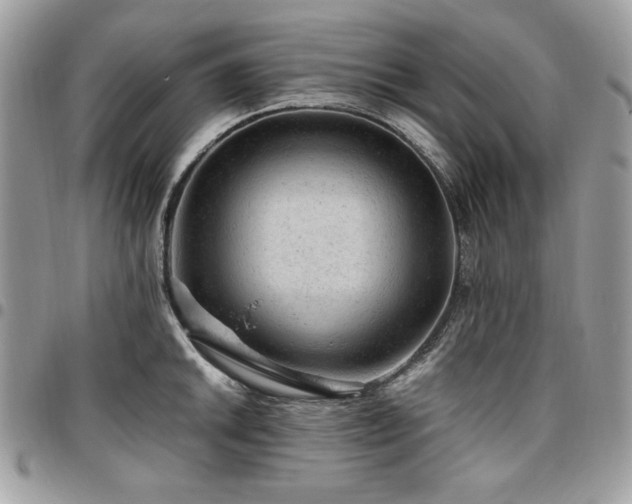 X0000096941046200802081201