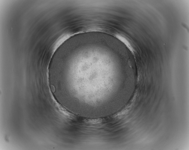 X0000096941047200802081201
